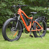 Big Battery Capacity with rear hub motor design 26