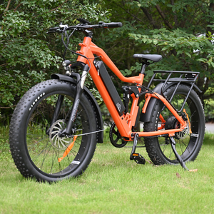 Big Battery Capacity with rear hub motor design 26