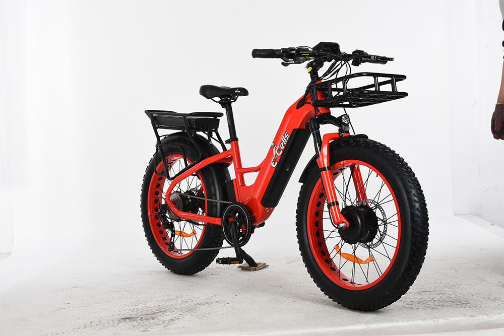 Conquer Off-Road Challenges with Dual Motor Power E-Bikes