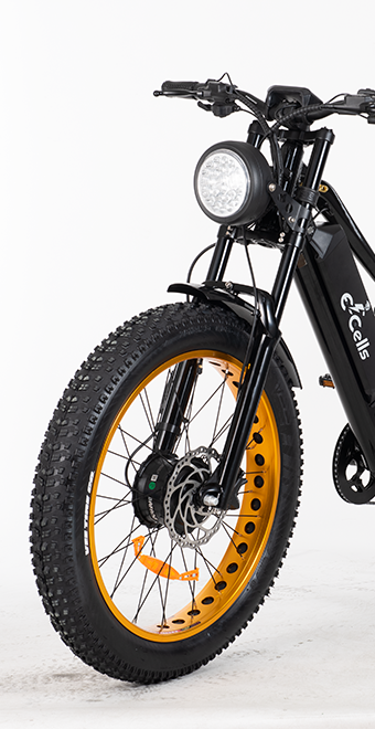Long Range Awd electric bike
