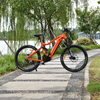 500W Mid Drive Motor Mountain Electric Bike Full Suspension Design MTB