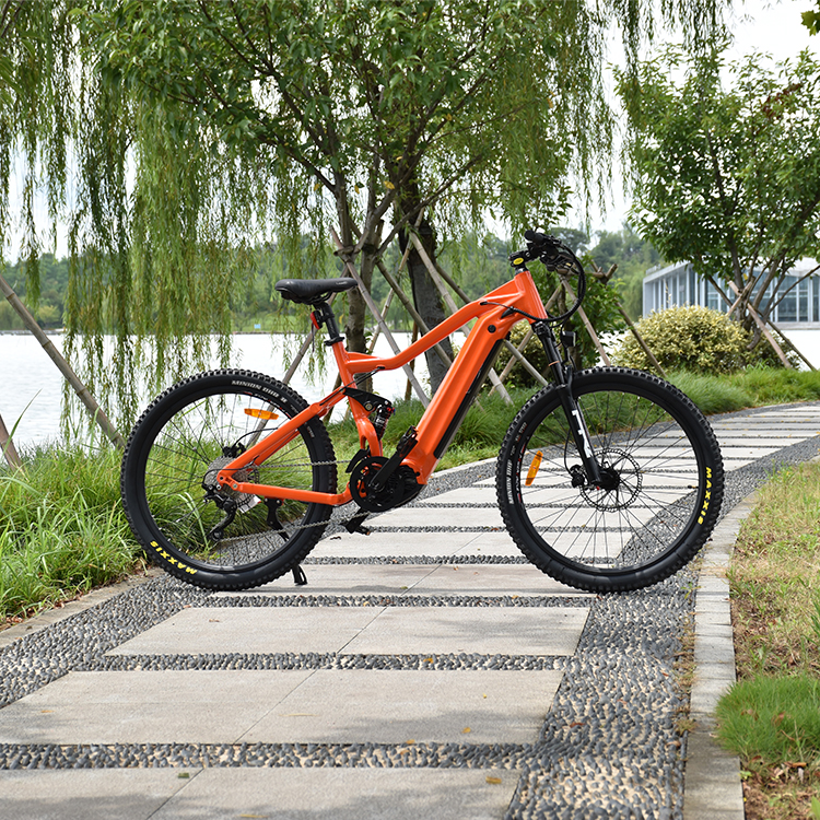 500W Mid Drive Motor Mountain Electric Bike Full Suspension Design MTB