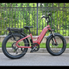 Dual Battery Electric Bike with Rear Hub Motor Design 26