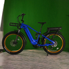 Dual Battery Eletcirc Bike High Power Electric Fat Tire Bike 1500W Hub Motor