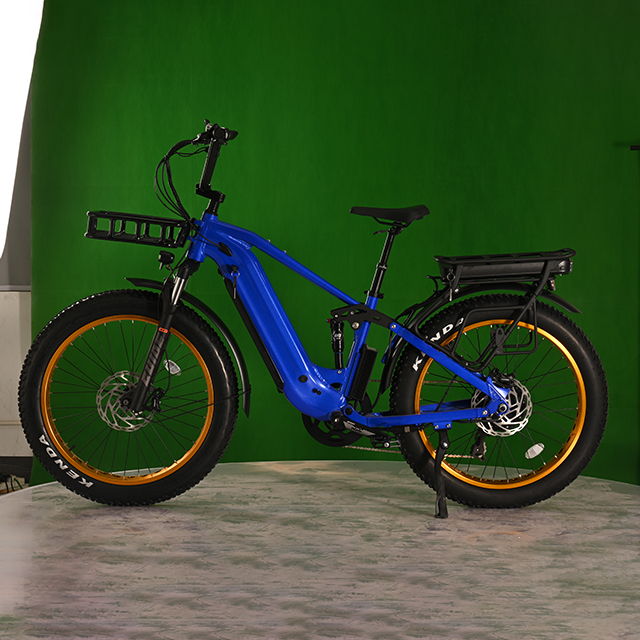 Dual Battery Eletcirc Bike High Power Electric Fat Tire Bike 1500W Hub Motor