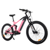 Full Suspension 1000W Power Mountain E Bike Ebike with Thinner Tire