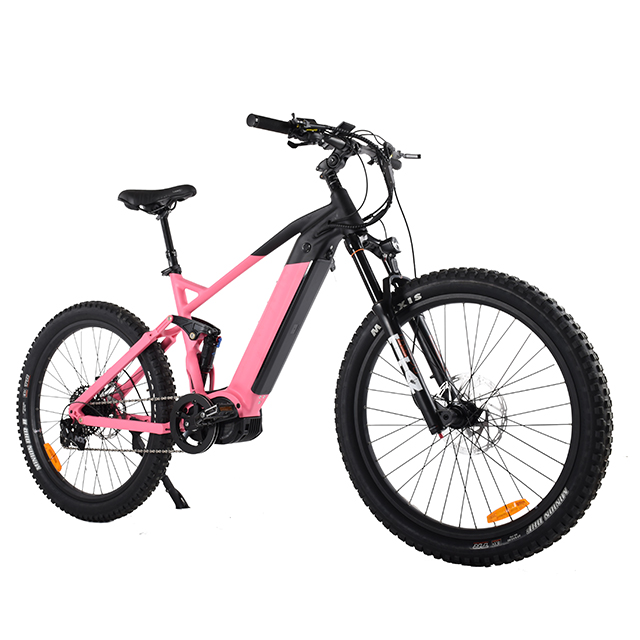 Full Suspension 1000W Power Mountain E Bike Ebike with Thinner Tire