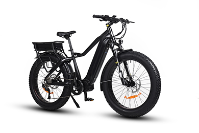 Unleashing the Power of 20" Fat Tire Retro Electric Commuters