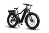 TDA15 PLUS DUAL BATTERY 1000 WATTS FAT TIRE ELECTRIC BIKE