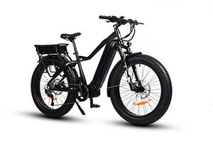TDA15 PLUS DUAL BATTERY 1000 WATTS FAT TIRE ELECTRIC BIKE