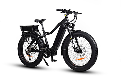 TDA15 PLUS DUAL BATTERY 1000 WATTS FAT TIRE ELECTRIC BIKE