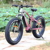 1000W/1200W Truckrun Mid Motor Electric Bike Single/dual Battery Option Fat Tire Electric Bike