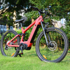 Carbon Fiber Electric Bike 1000W/1200W Mid Drive Motor Bike Truckrun MTB