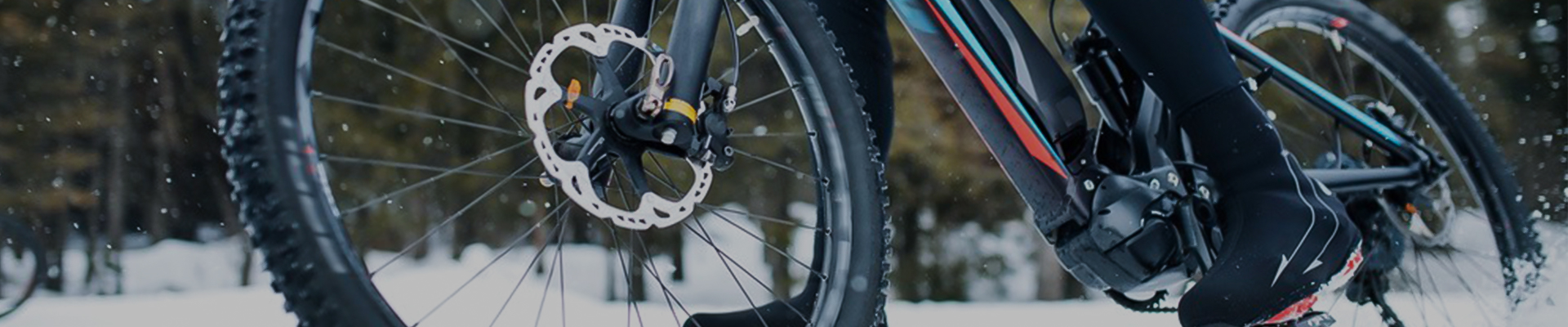 Electric mountain bike for beginners