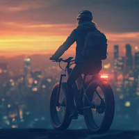 //iororwxhplnlll5p-static.micyjz.com/cloud/lmBppKpklpSRpkmjmrjnip/e-bike-application.jpg