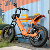 Rear Hub Motor Bike with 20