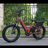 Dual Battery Electric Bike with Rear Hub Motor Design 26