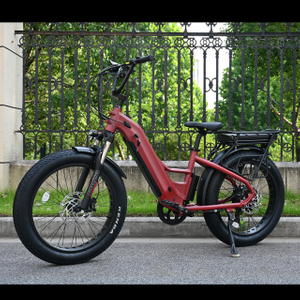 Dual Battery Electric Bike with Rear Hub Motor Design 26