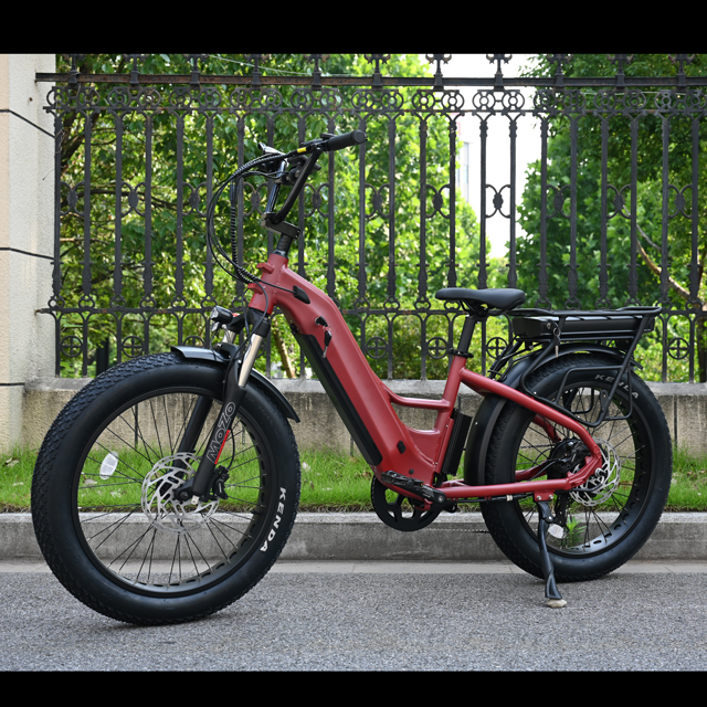 Dual Battery Electric Bike with Rear Hub Motor Design 26