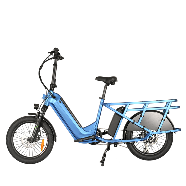 New Cargo Bike with Hidden Down Tube Battery 20"inch fat tire bike