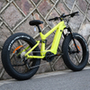 Carbon Fiber Electric Bike 1000W/1200W Mid Drive Motor Bike Truckrun Fat Tire Bike