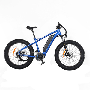 Bafang M600 500W Fat Tire Electric Bike for Sale Max Speed 45km/h Removable Lithium Battery
