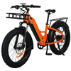 Rear hub motor design 24