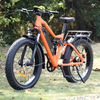 Big Battery Capacity with rear hub motor design 26