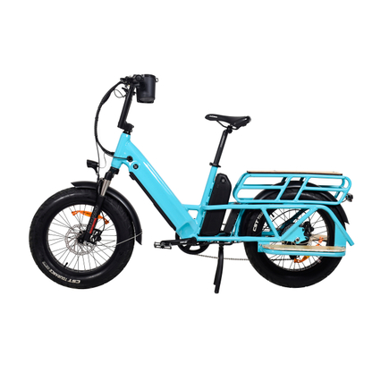 TDN04Z Long Range Cargo Electric Bike Rear Hub Motor Drive Motor Cargo E-bike Dual Battery Design