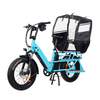TDN04Z Long Range Cargo Electric Bike Rear Hub Motor Drive Motor Cargo E-bike Dual Battery Design