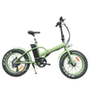 Foldable 20 inch Fat Tire electric bike