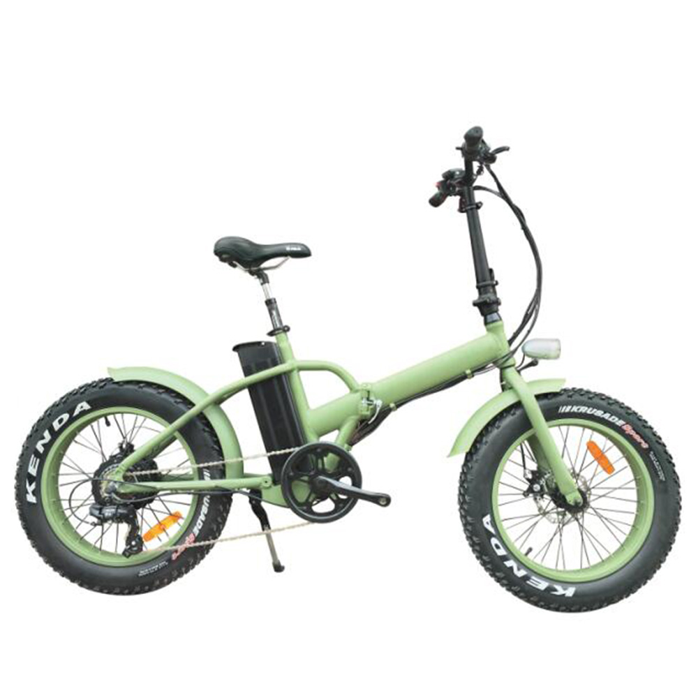 Foldable 20 inch Fat Tire electric bike