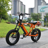 Rear Hub Motor Bike with 20