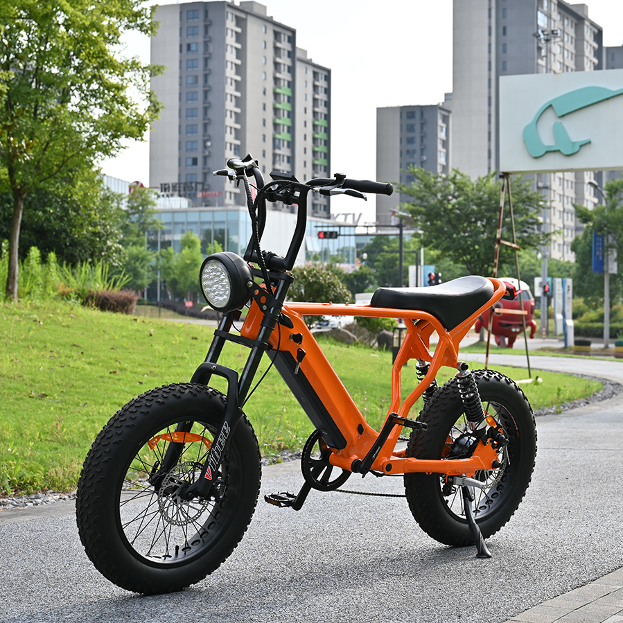 Rear Hub Motor Bike with 20