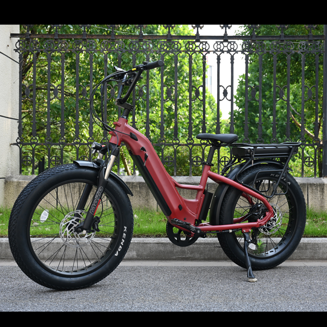 Dual Battery Electric Bike with Rear Hub Motor Design 26
