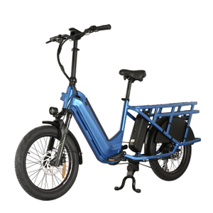 New Cargo Bike with Hidden Down Tube Battery 20"inch fat tire bike