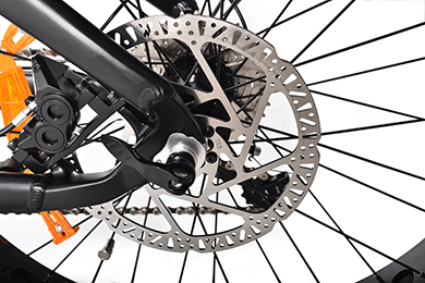 TDA15 PLUS DUAL BATTERY 1000 WATTS FAT TIRE ELECTRIC BIKE