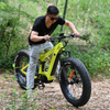 Carbon Fiber Electric Bike 1000W/1200W Mid Drive Motor Bike Truckrun Fat Tire Bike