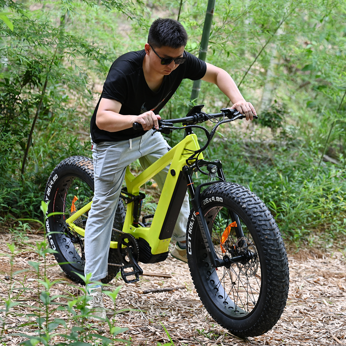 Carbon Fiber Electric Bike 1000W/1200W Mid Drive Motor Bike Truckrun Fat Tire Bike
