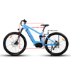 Carbon Fiber Electric Bike 1000W/1200W Mid Drive Motor Bike Truckrun MTB