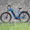 Belt Drive Electric City Bike with Shimano Inner Speed 250W City Bike for Daily Communte 