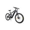 500W Mid Drive Motor Mountain Electric Bike Full Suspension Design MTB