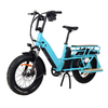 TDN04Z Long Range Cargo Electric Bike Rear Hub Motor Drive Motor Cargo E-bike Dual Battery Design