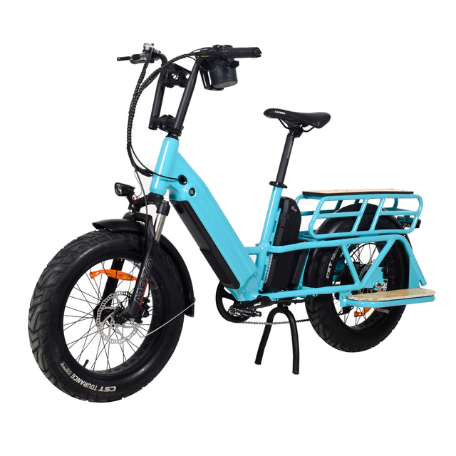 TDN04Z Long Range Cargo Electric Bike Rear Hub Motor Drive Motor Cargo E-bike Dual Battery Design