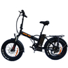 Foldable 20 inch Fat Tire electric bike