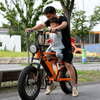 Rear Hub Motor Bike with 20