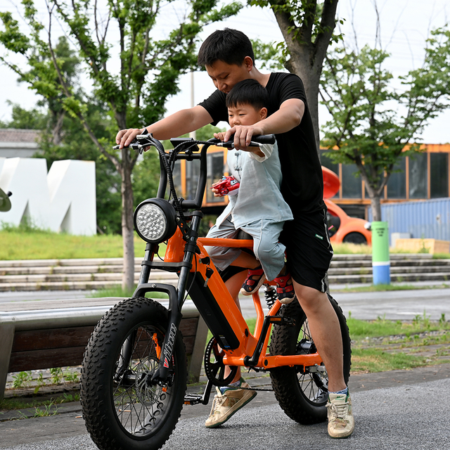 Rear Hub Motor Bike with 20