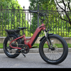 Dual Battery Electric Bike with Rear Hub Motor Design 26