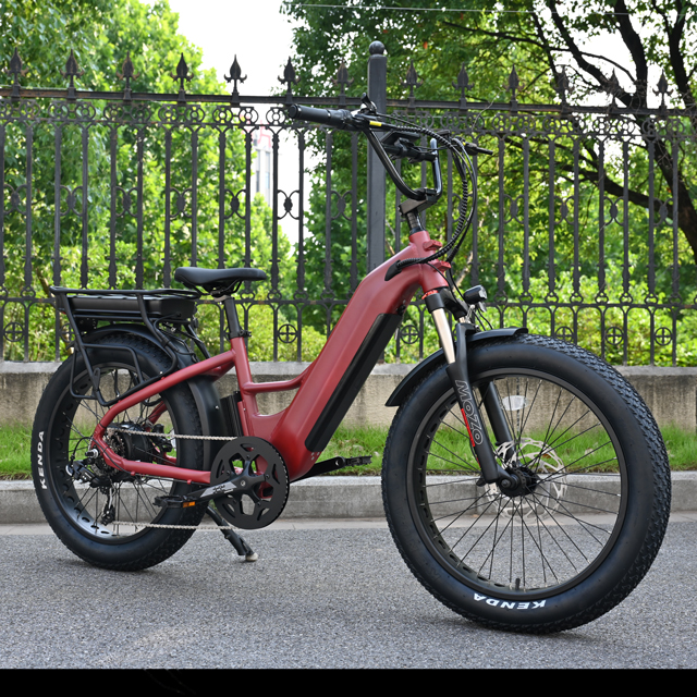 Dual Battery Electric Bike with Rear Hub Motor Design 26