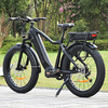 TDA15 PLUS DUAL BATTERY 1000 WATTS FAT TIRE ELECTRIC BIKE